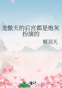 龙傲天的后宫都是炮灰扮演的